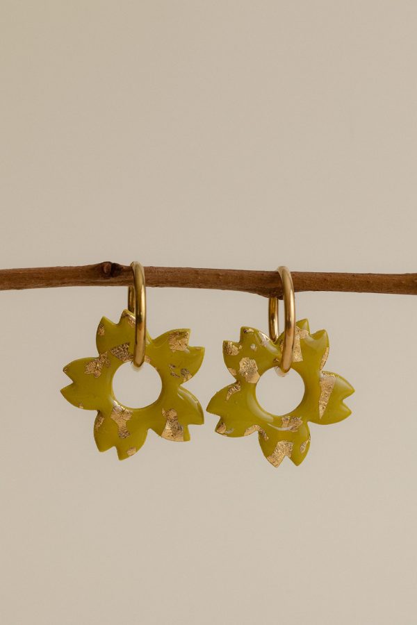 AZILIZ - Anis feuilles d'or