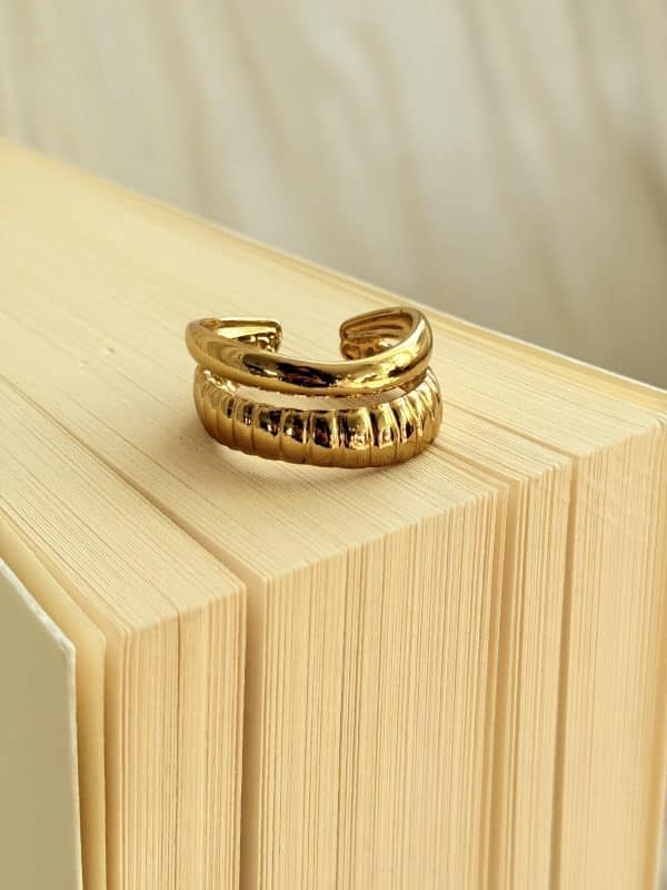 Bague double