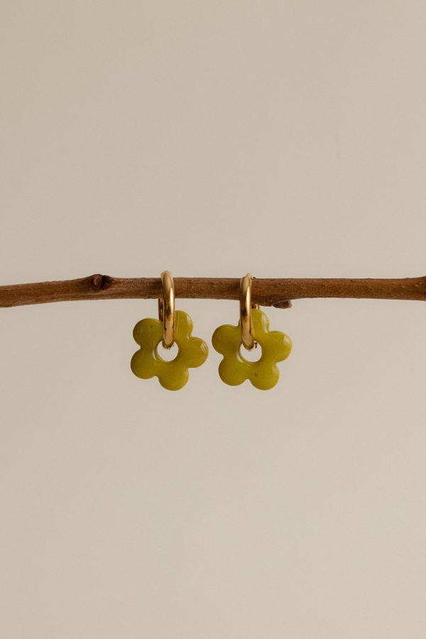Mini ENORA - Anis