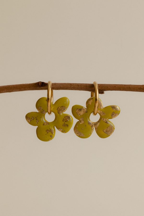 SOLENA - Anis feuilles d'or